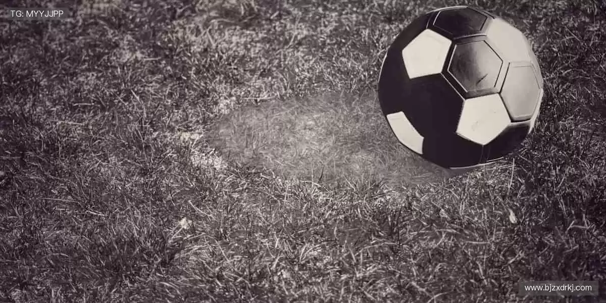 🎮 从装备到收藏,一站式满足你的体育情怀!